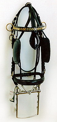  Harness Bridle